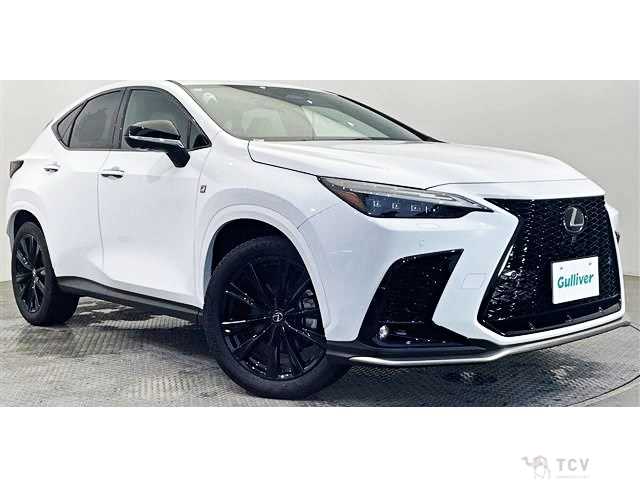 2024 Lexus NX