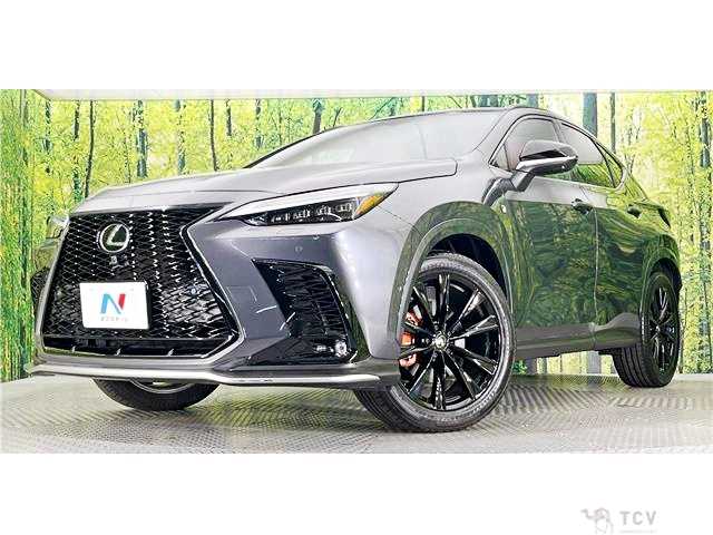 2024 Lexus NX