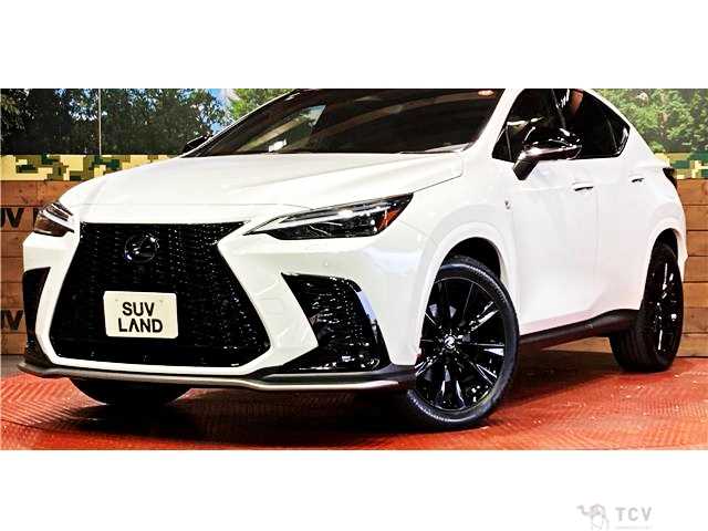 2024 Lexus NX