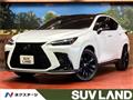 2024 Lexus NX