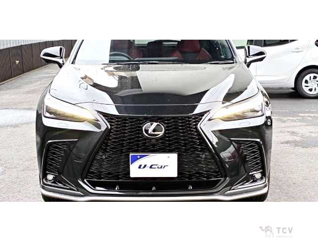 2024 Lexus NX