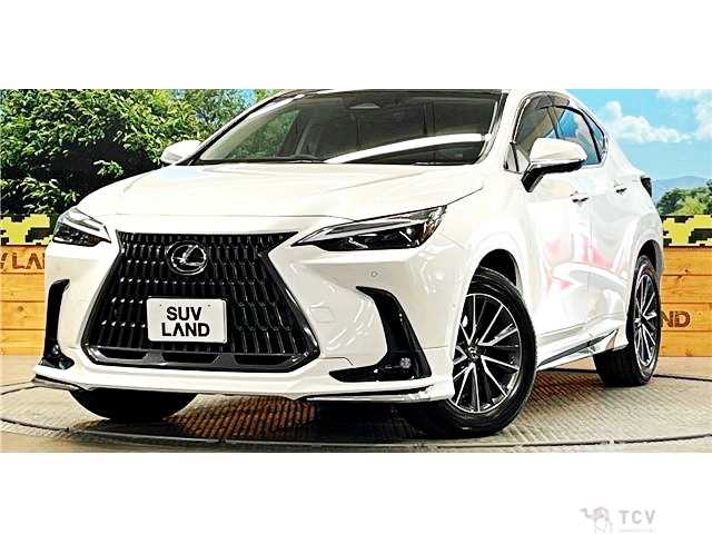 2024 Lexus NX