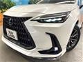 2024 Lexus NX
