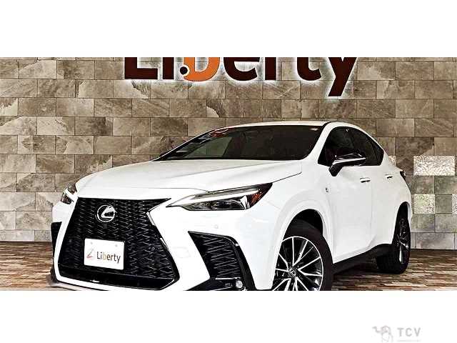 2024 Lexus NX