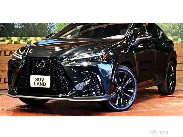 2024 Lexus NX