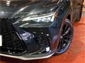 2024 Lexus NX