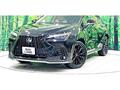 2024 Lexus NX