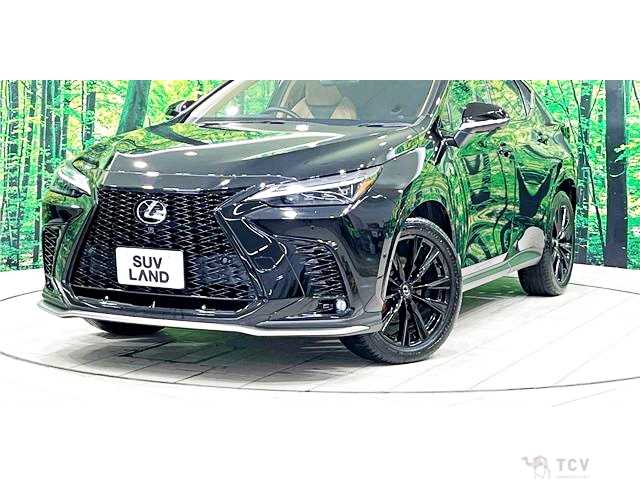 2024 Lexus NX