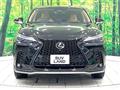 2024 Lexus NX
