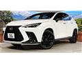 2024 Lexus NX