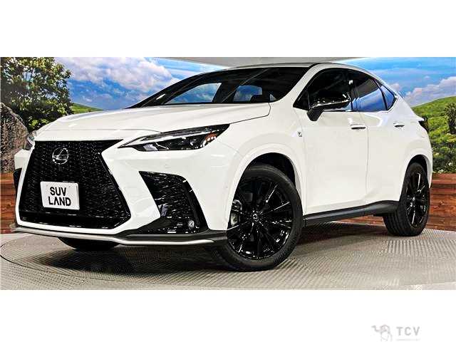 2024 Lexus NX