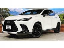 2024 Lexus NX
