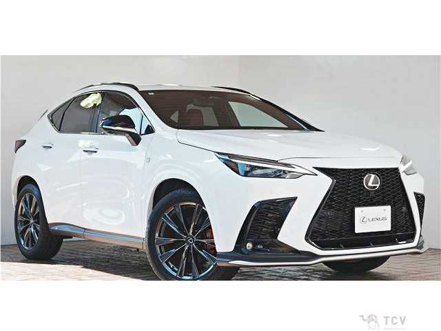 2024 Lexus NX