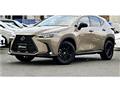 2024 Lexus NX