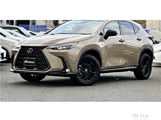 2024 Lexus NX