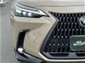 2024 Lexus NX