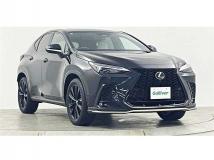 2024 Lexus NX