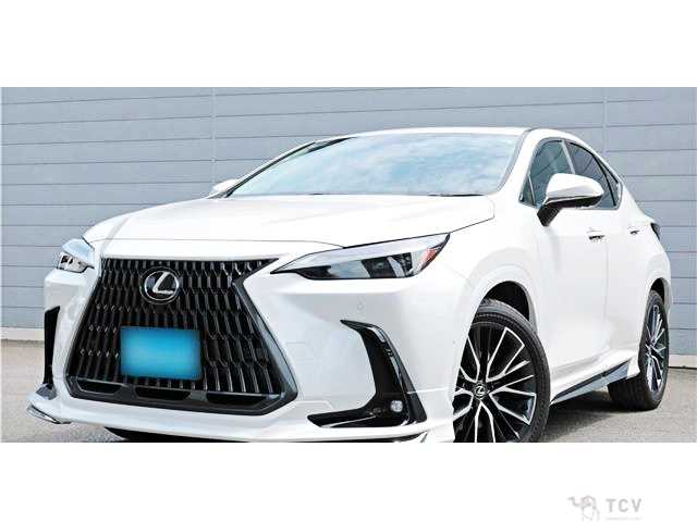 2024 Lexus NX