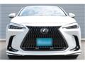 2024 Lexus NX