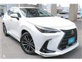 2024 Lexus NX