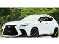 2024 Lexus NX