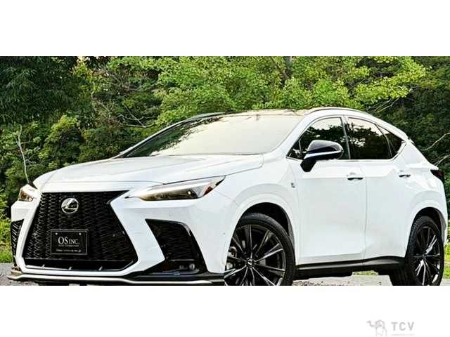 2024 Lexus NX