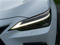 2024 Lexus NX