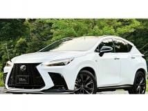 2024 Lexus NX