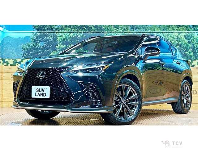 2024 Lexus NX