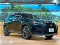 2024 Lexus NX