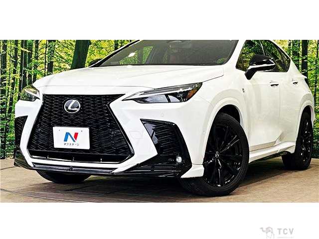 2024 Lexus NX