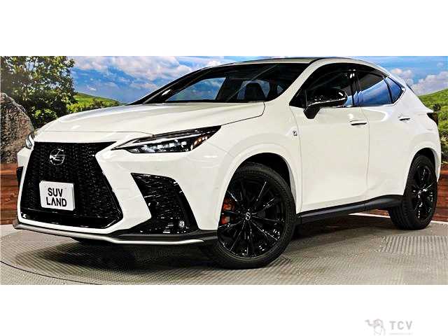 2024 Lexus NX