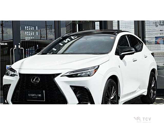 2024 Lexus NX