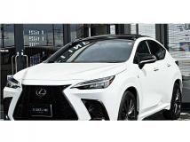 2024 Lexus NX