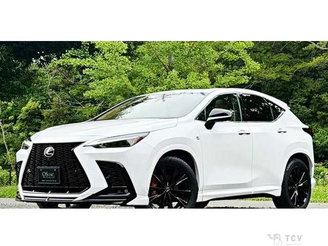 2024 Lexus NX