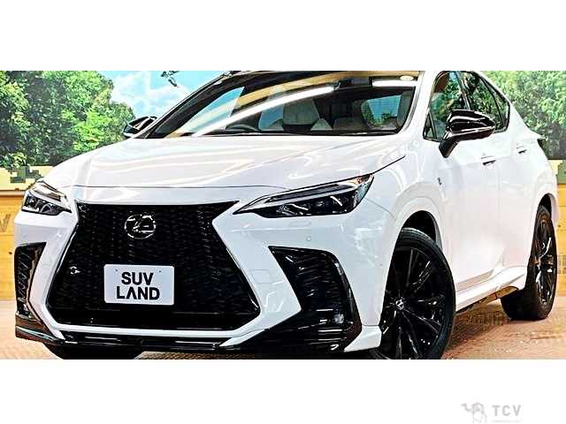 2024 Lexus NX