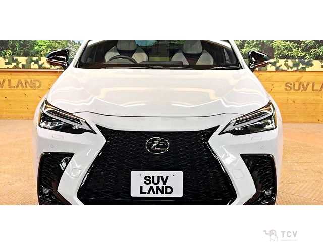 2024 Lexus NX