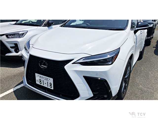 2024 Lexus NX