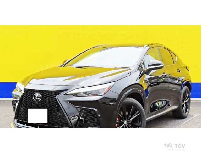 2024 Lexus NX