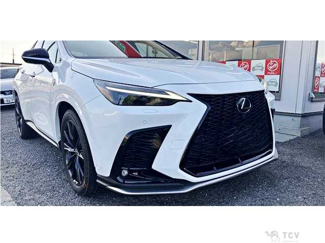 2024 Lexus NX