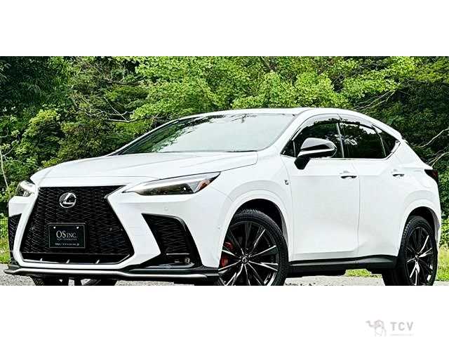 2024 Lexus NX