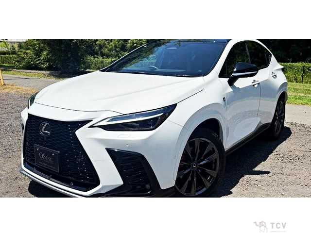 2024 Lexus NX