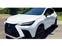 2024 Lexus NX