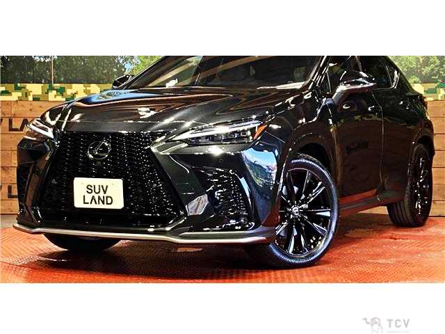 2024 Lexus NX