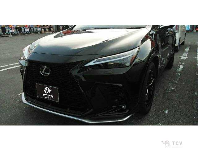 2024 Lexus NX