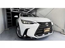 2024 Lexus NX