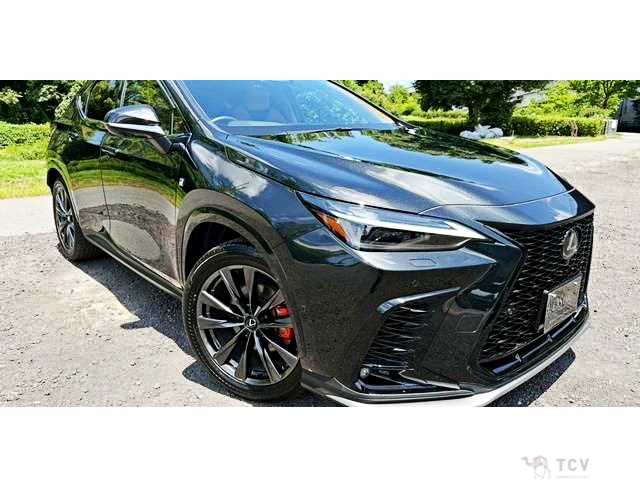 2024 Lexus NX