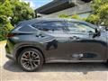 2024 Lexus NX