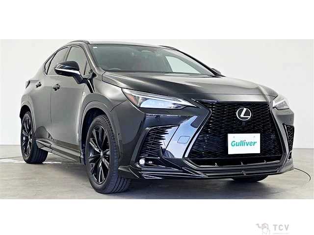 2024 Lexus NX