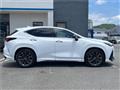 2024 Lexus NX